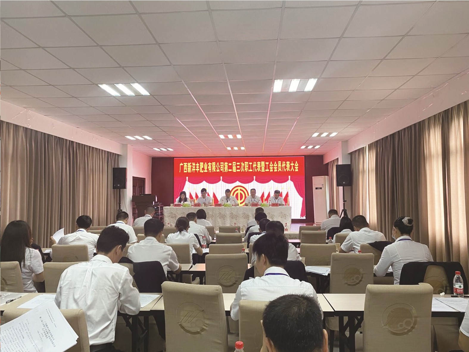 广西新洋丰_副本.jpg