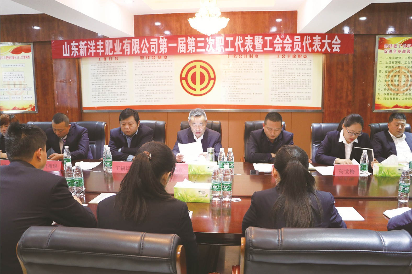 山东新洋丰_副本.jpg