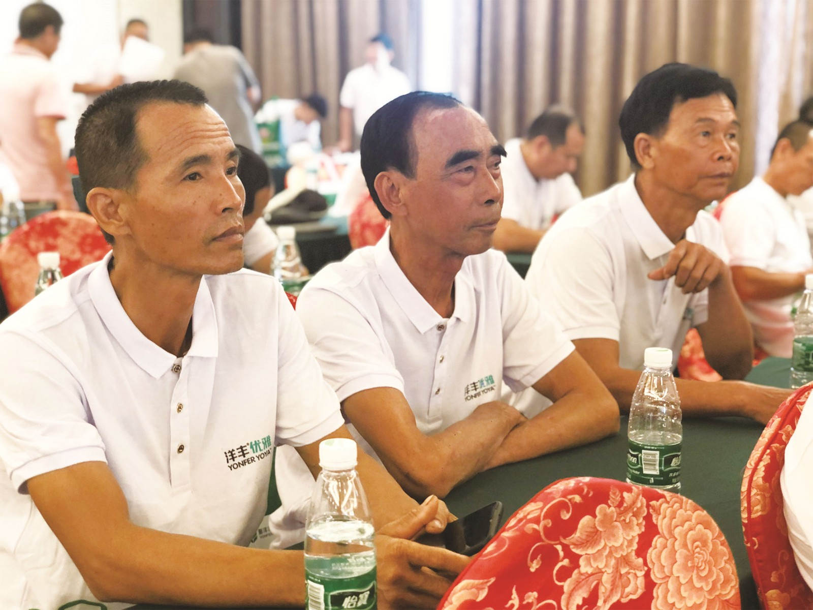 种植户认真参会_副本.jpg