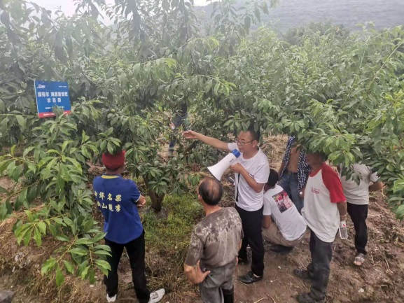 图片7罗德国老师在示范田观摩会现场讲解介绍澳之蓝套餐肥效果.jpg