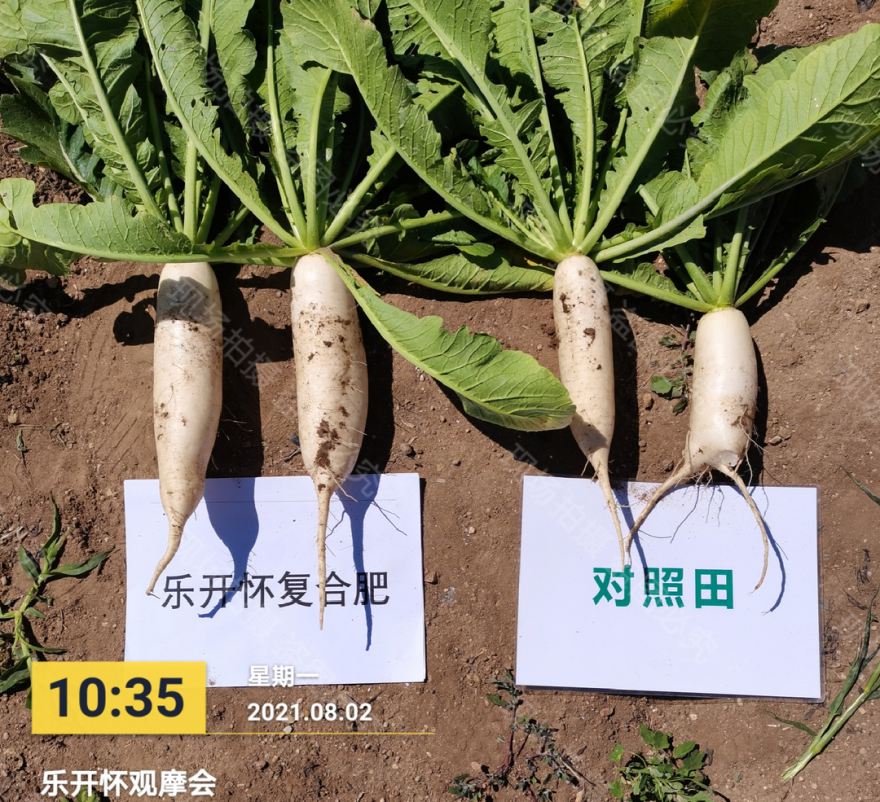 微信图片_20210802171433.jpg