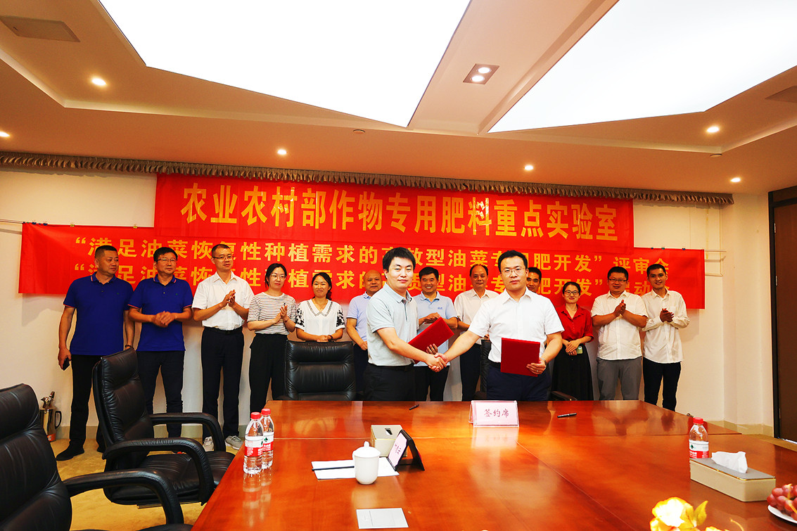 从“高效型”向“高质型”转变,油菜专用肥开发开启新篇章.jpg